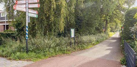 Dijkstraat.jpg
