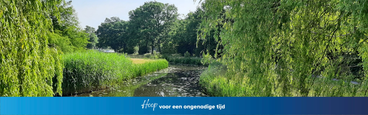 Ontwerp zonder titel (1).png